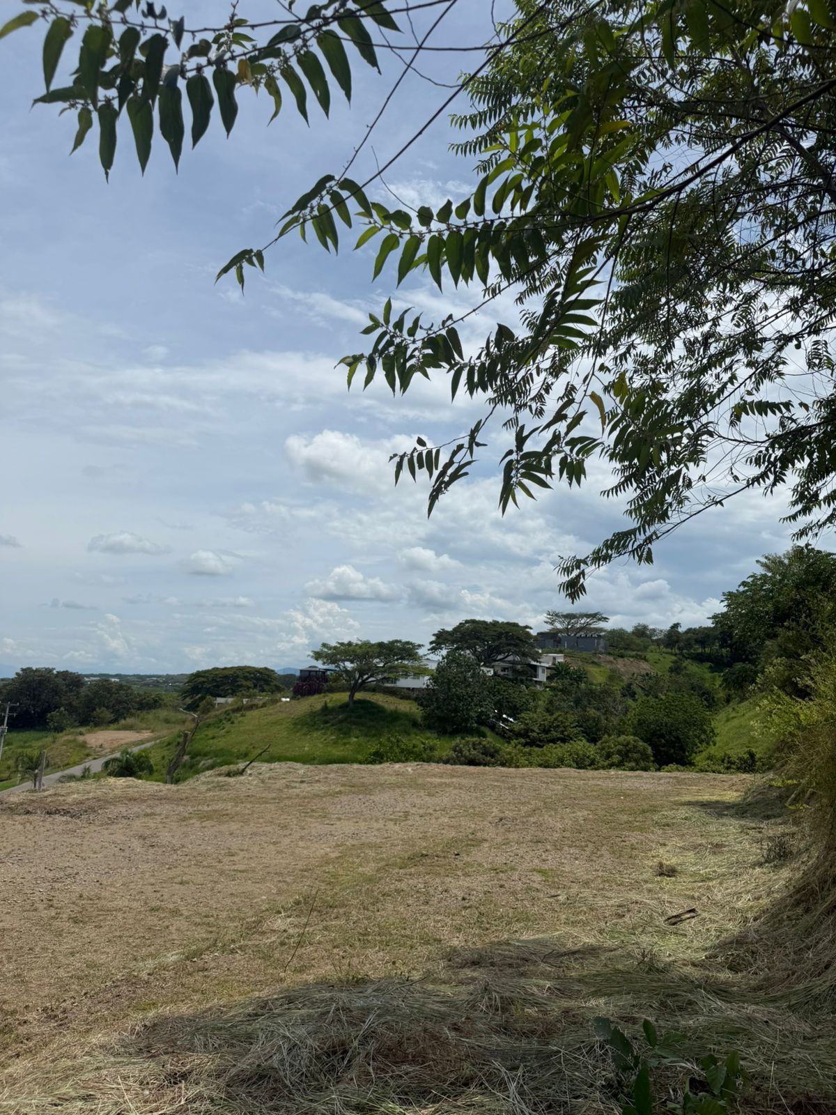Foto de Lote / terreno en Venta en Cerritos, Pereira - 4 - 279065028
