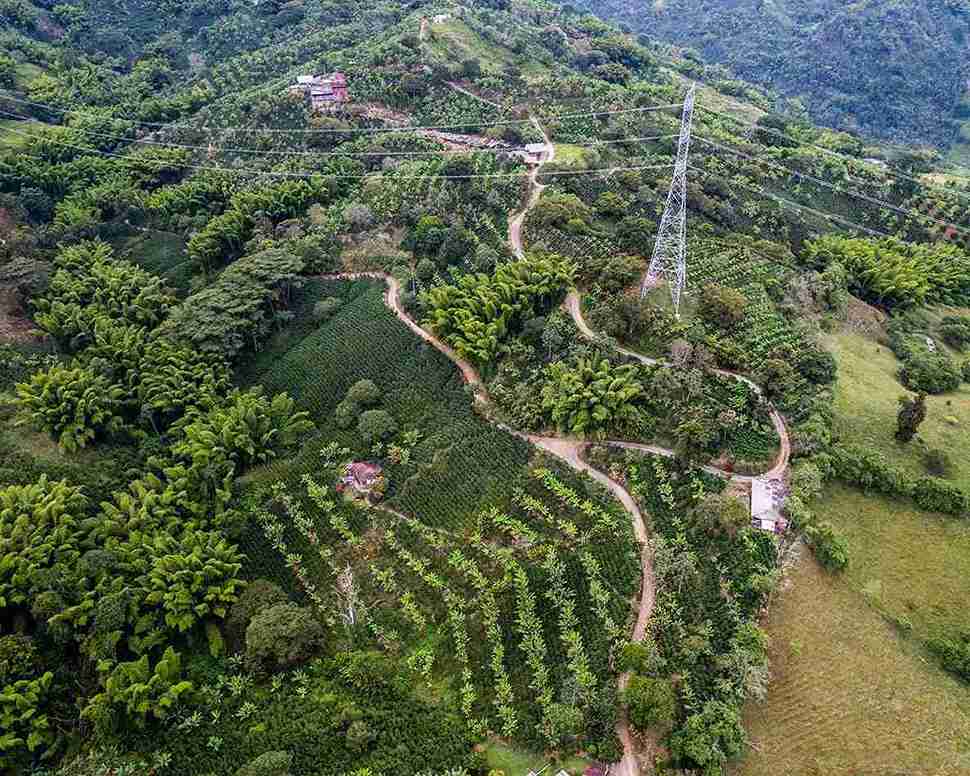 Foto de Finca para Venta en Vereda el corozo, Neira - 279053406