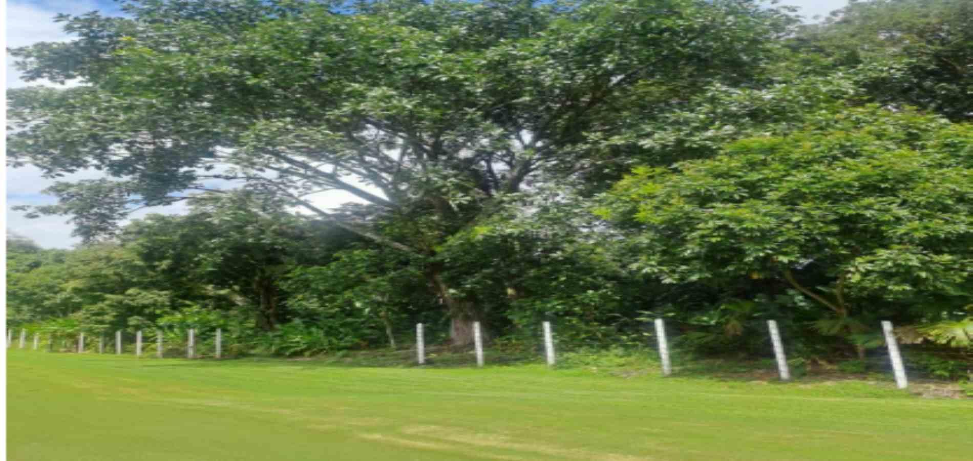 Foto de Lote / terreno en Venta en Las pavas, Manizales - 1 - 279059784