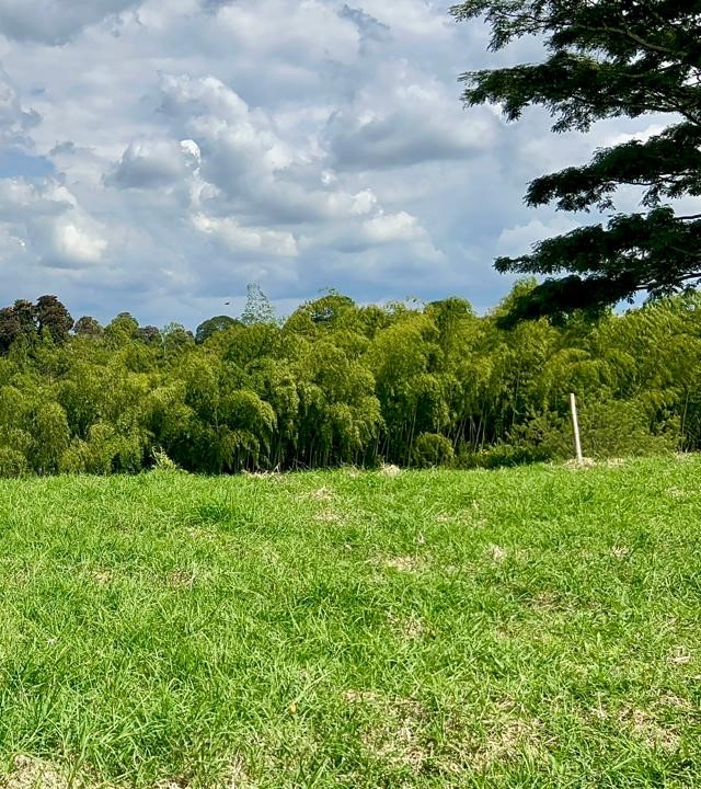 Foto de Lote / terreno para Venta en Centro, Quimbaya - 279063777