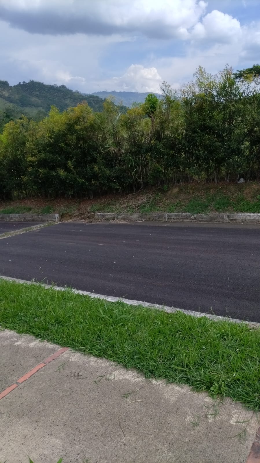 Foto de Lote / terreno en Venta en Poblado campestre brisas del mar , Viterbo - 7 - 279065896