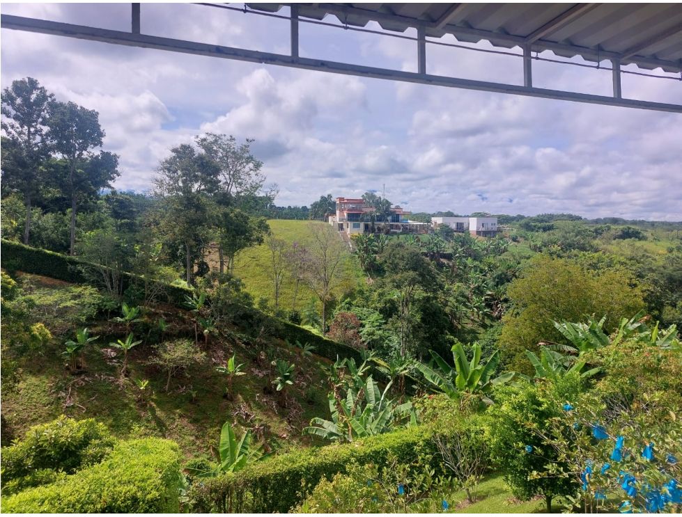 Foto de Casa campestre en Venta en Via alcala, Pereira - 6 - 279065633