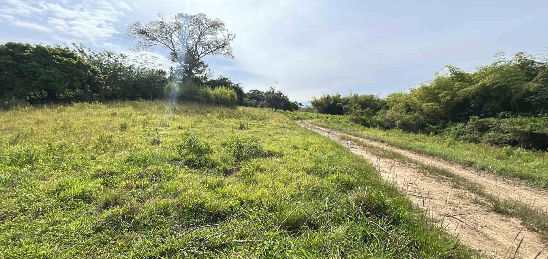 Foto de Lote / terreno en Venta en Cerritos, Pereira - 3 - 279068066