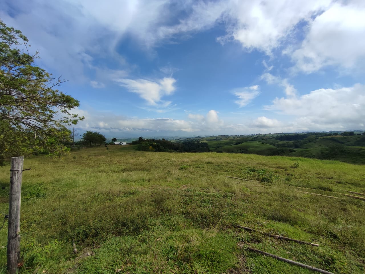 Foto de Lote / terreno en Venta en Cerritos, Pereira - 7 - 279063214