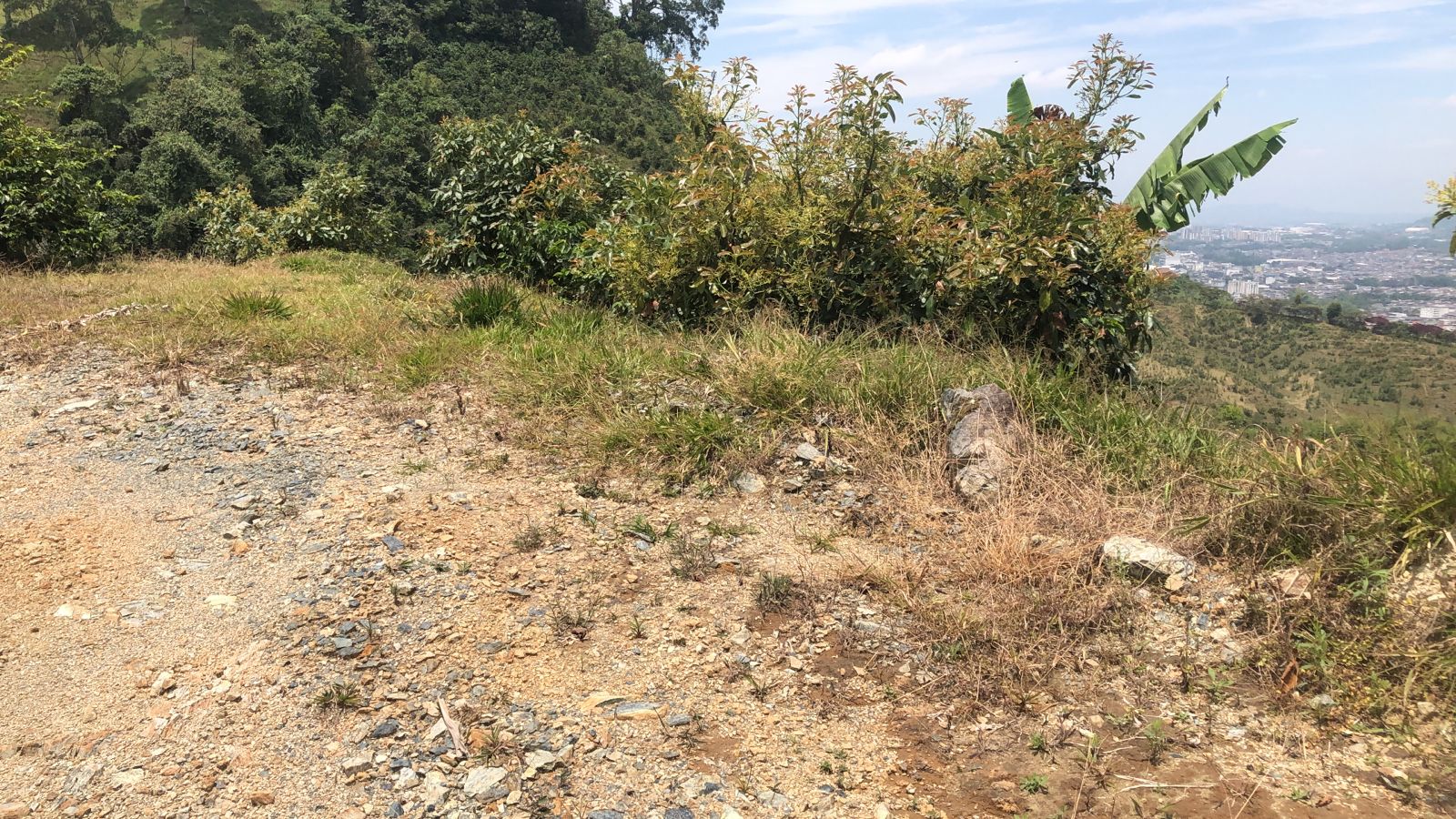 Foto de Lote / terreno en Venta en Dosquebradas, Dosquebradas - 5 - 279053268