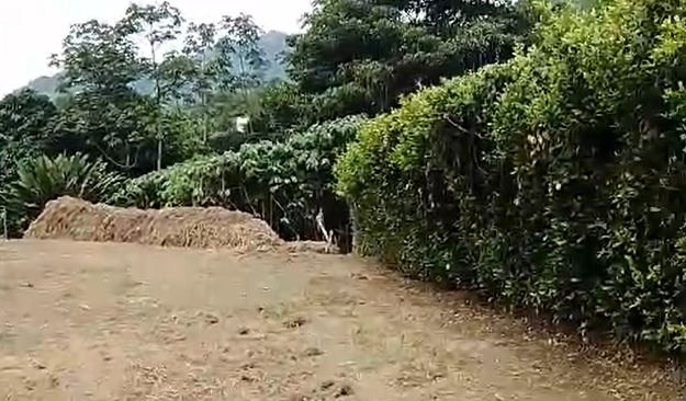 Foto de Lote / terreno en Venta en Combia, Pereira - 8 - 279063700