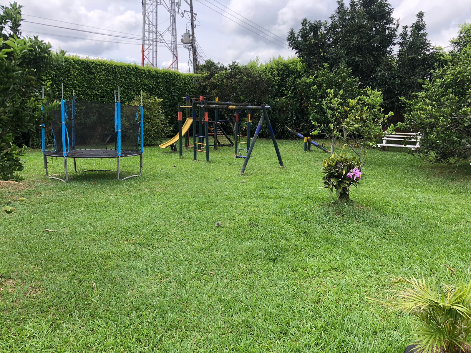 Foto de Finca en Arriendo en Morelia, Pereira - 6 - 279064174