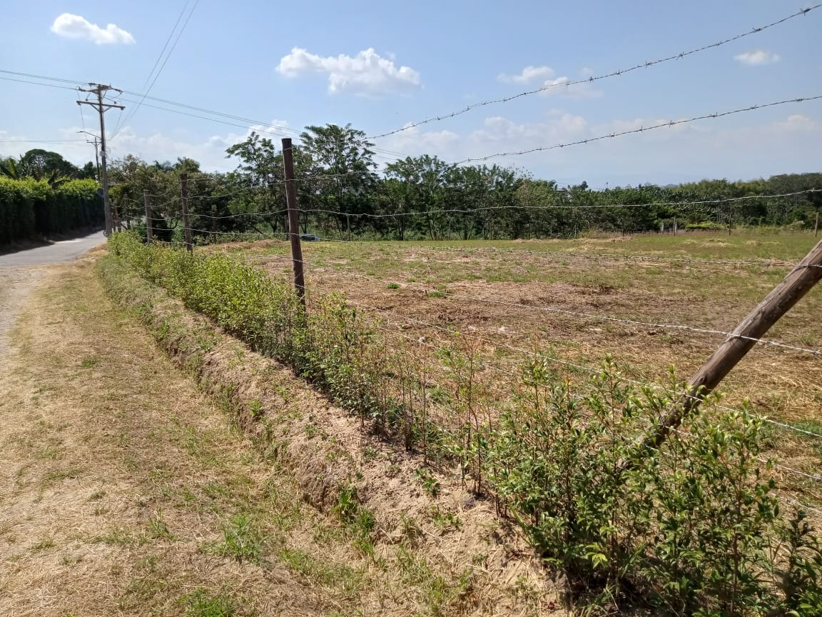 Foto de Lote / terreno en Venta en Combia, Pereira - 3 - 279063700