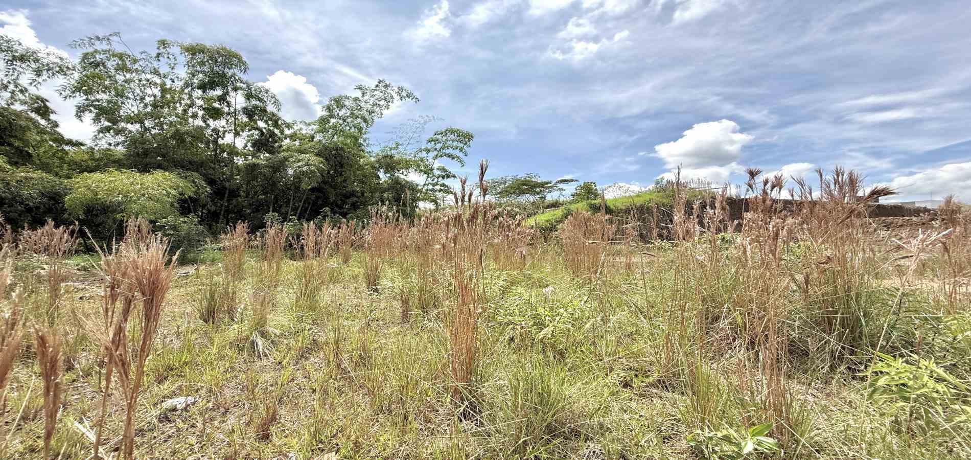 Foto de Lote / terreno en Venta en La pradera, Dosquebradas - 1 - 279061786