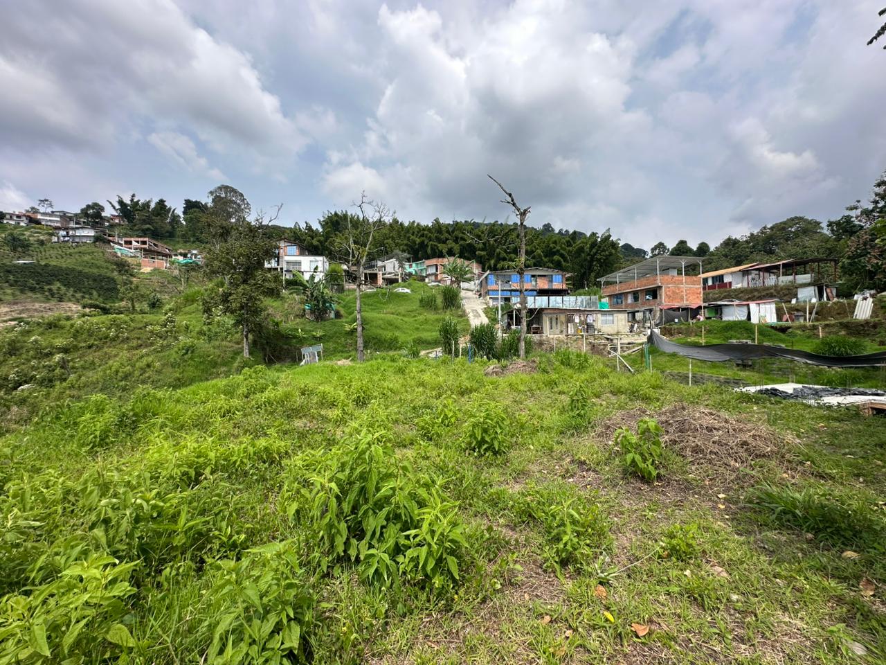 Foto de Lote / terreno en Venta en Arenillo, Manizales - 6 - 279067215