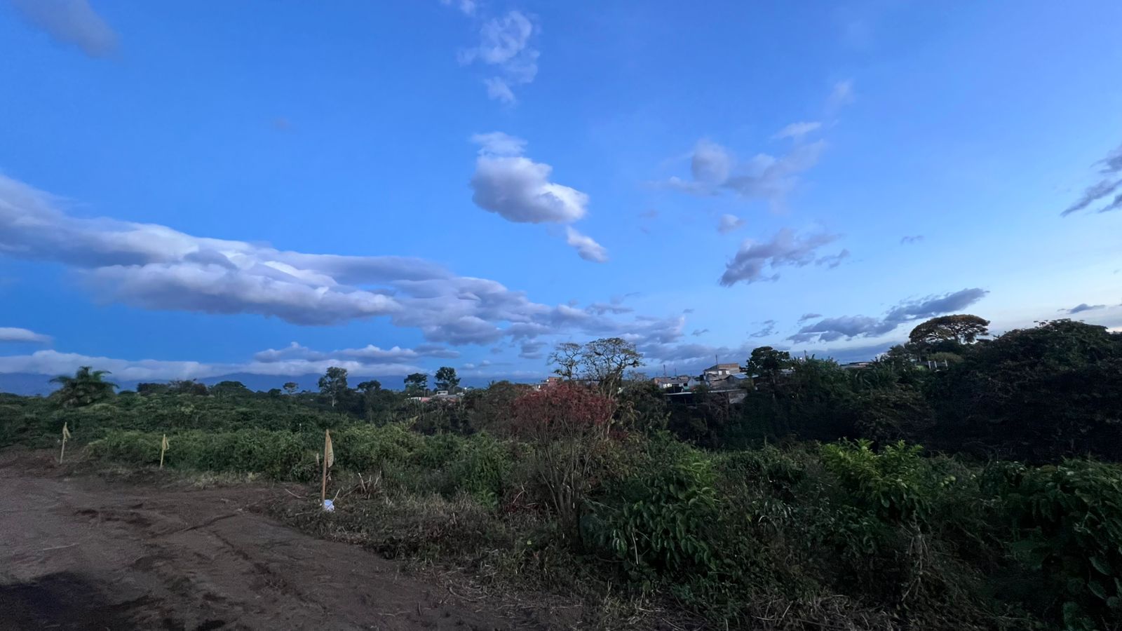 Foto de Lote / terreno en Venta en La mesa, Quimbaya - 4 - 279063891