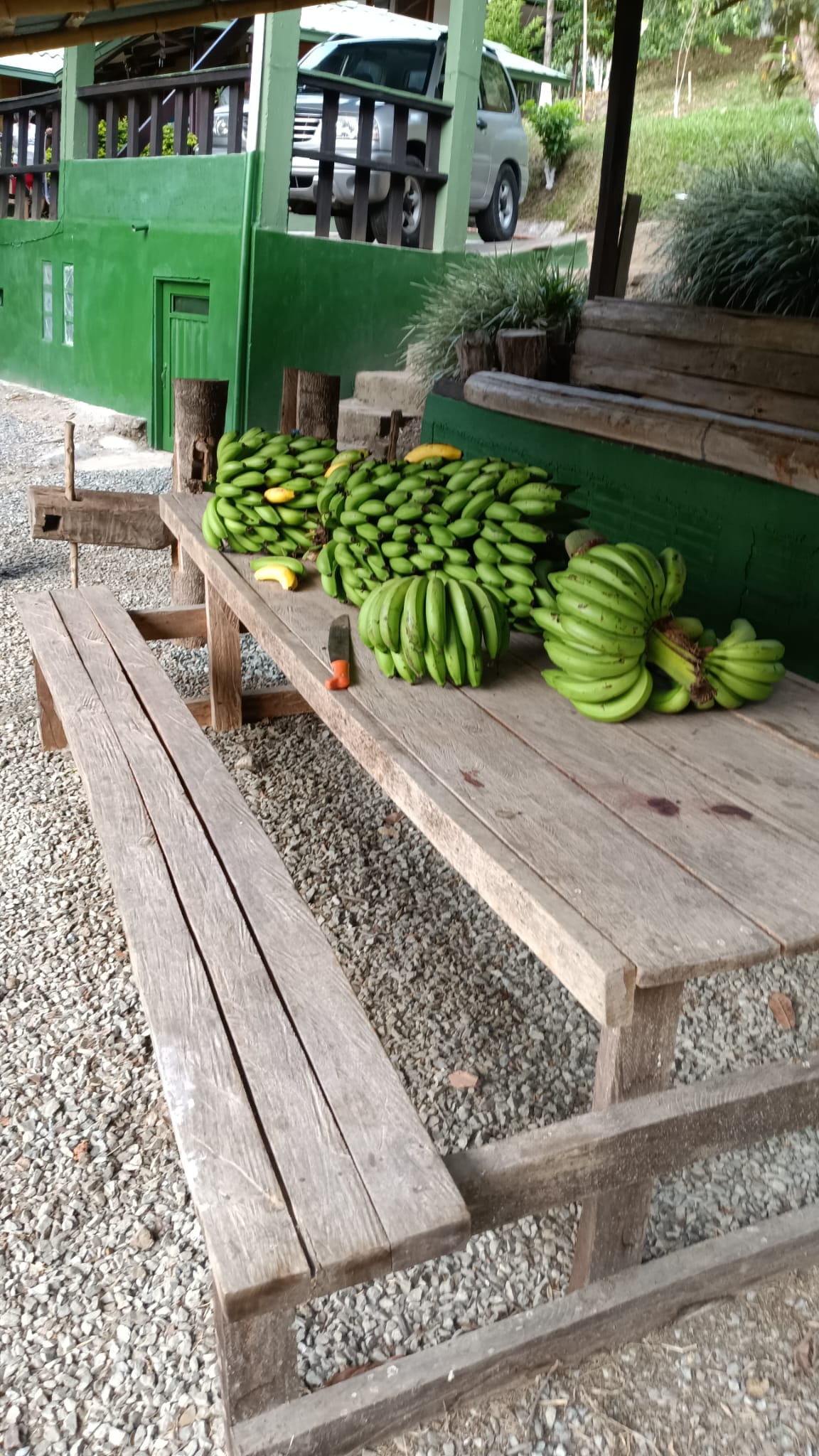 Foto de Finca en Venta en La cabaña, Manizales - 3 - 279053151