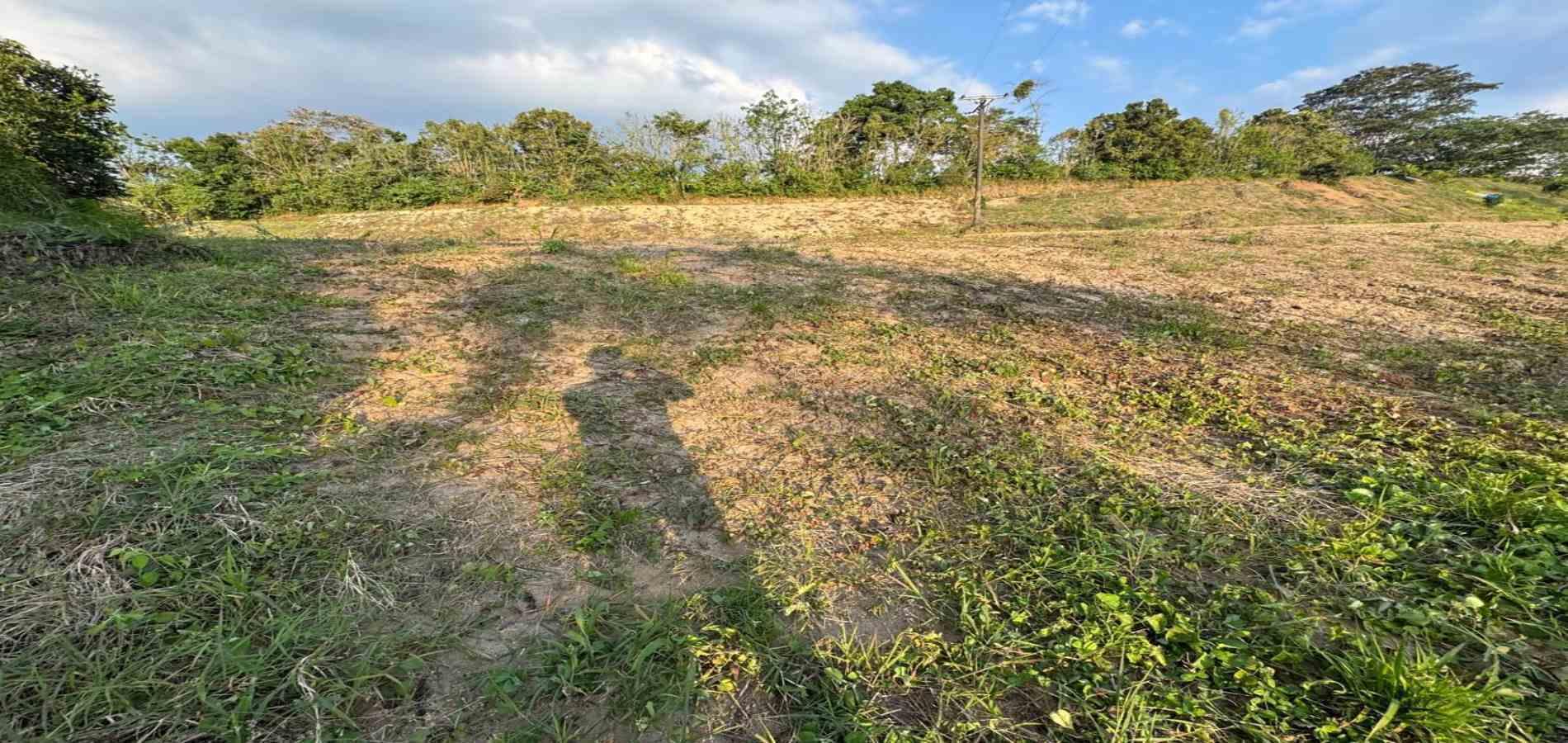 Foto de Lote / terreno en Venta en Via armenia, Pereira - 1 - 279060751