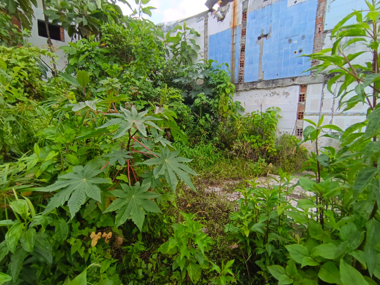Foto de Lote / terreno en Venta en Fátima, Manizales - 2 - 279068979