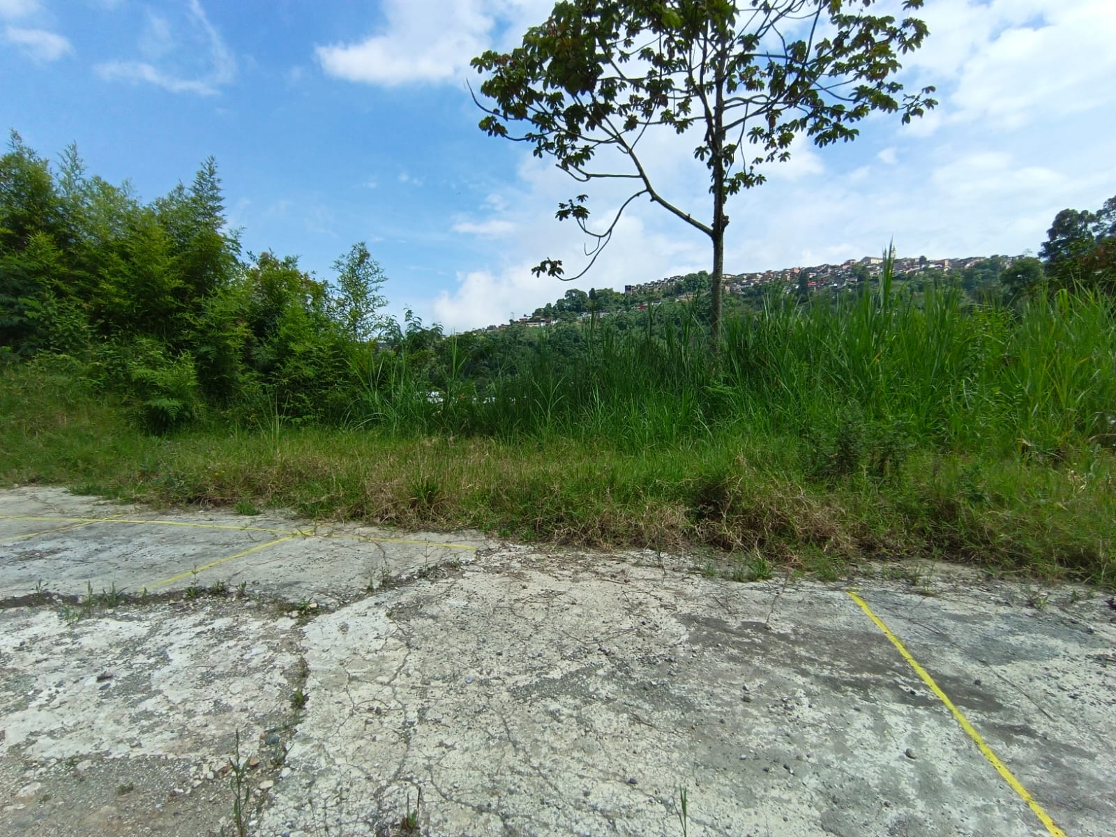 Foto de Lote / terreno en Venta en Panamericana, Manizales - 12 - 279063718