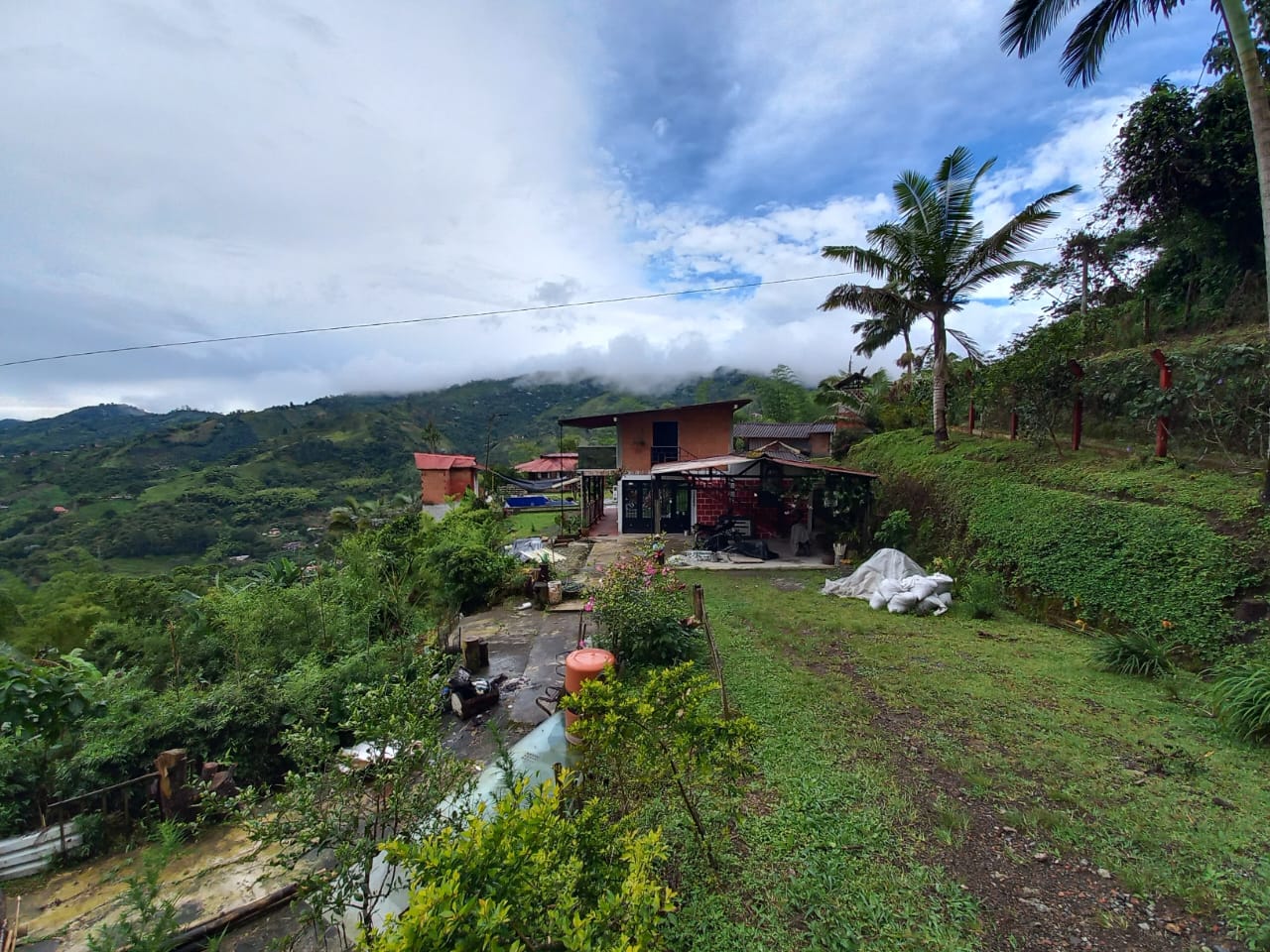 Foto de Finca en Venta en Vereda la esperanza, Manizales - 25 - 279012878