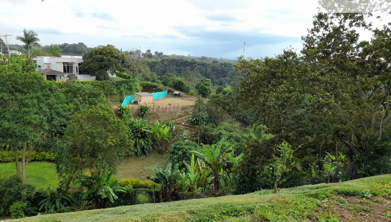 Foto de Lote / terreno en Venta en Morelia, Pereira - 6 - 279057944