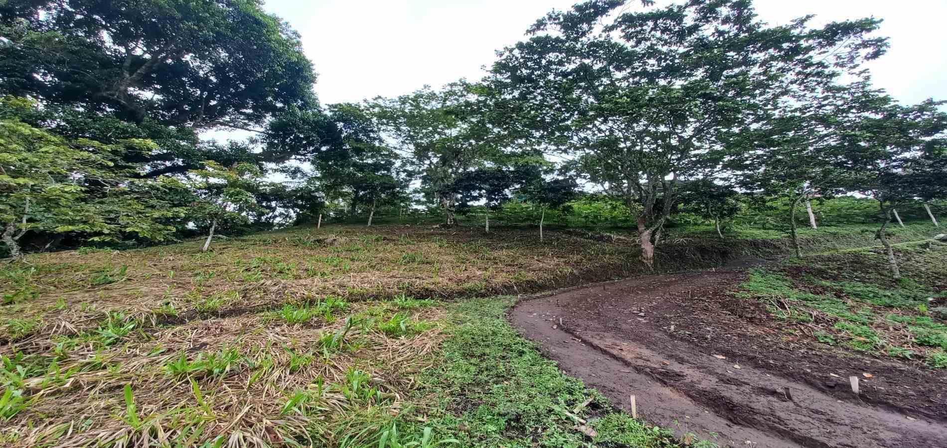 Foto de Lote / terreno en Venta en El bosque, Dosquebradas - 9 - 48802