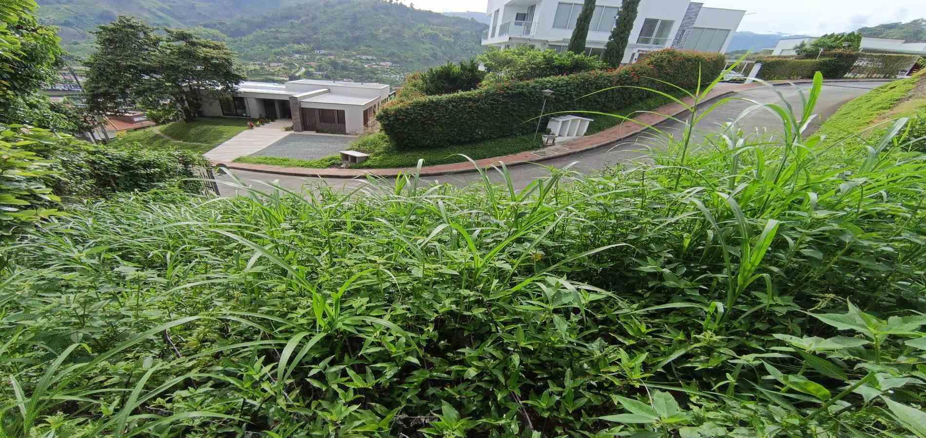 Foto de Lote / terreno en Venta en San bernardo del viento , Manizales - 22 - 279068029