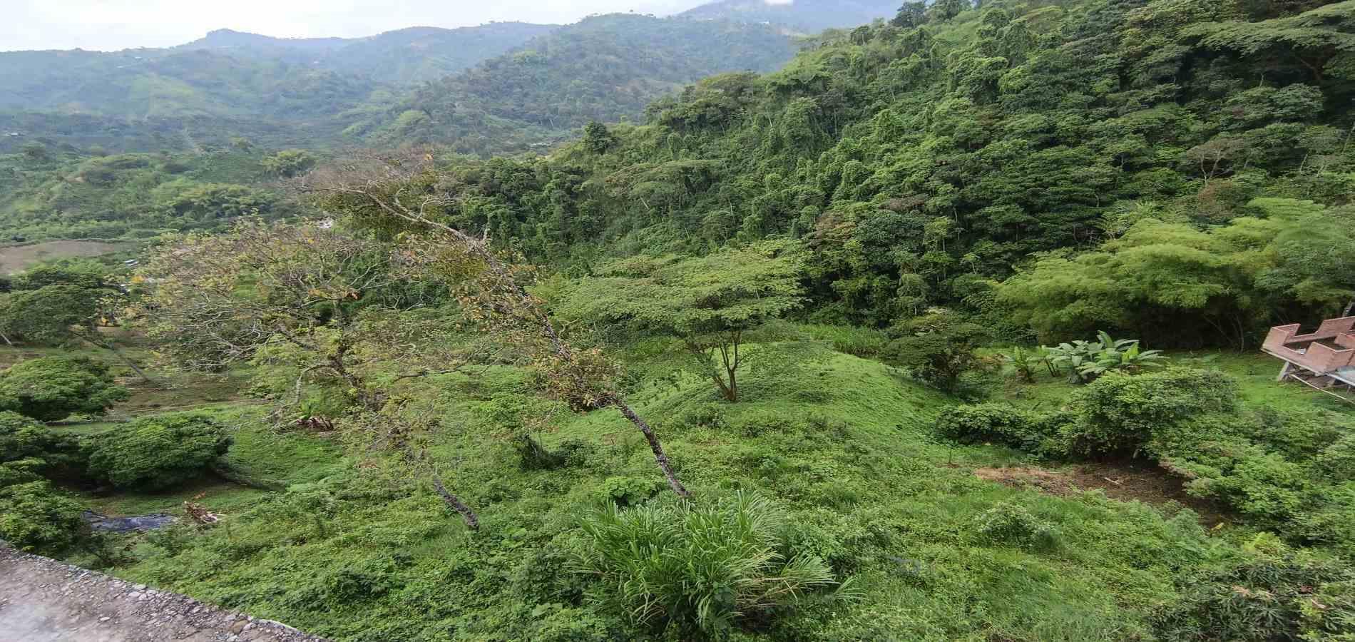 Foto de Lote / terreno en Venta en Vereda minitas , Manizales - 17 - 279068548