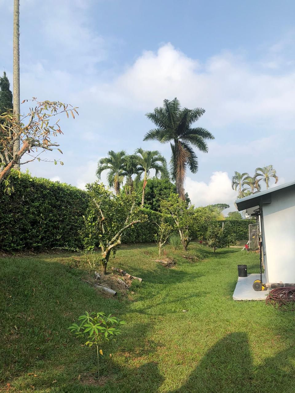 Foto de Casa campestre en Venta en Vereda santagueda, Palestina - 5 - 279059713