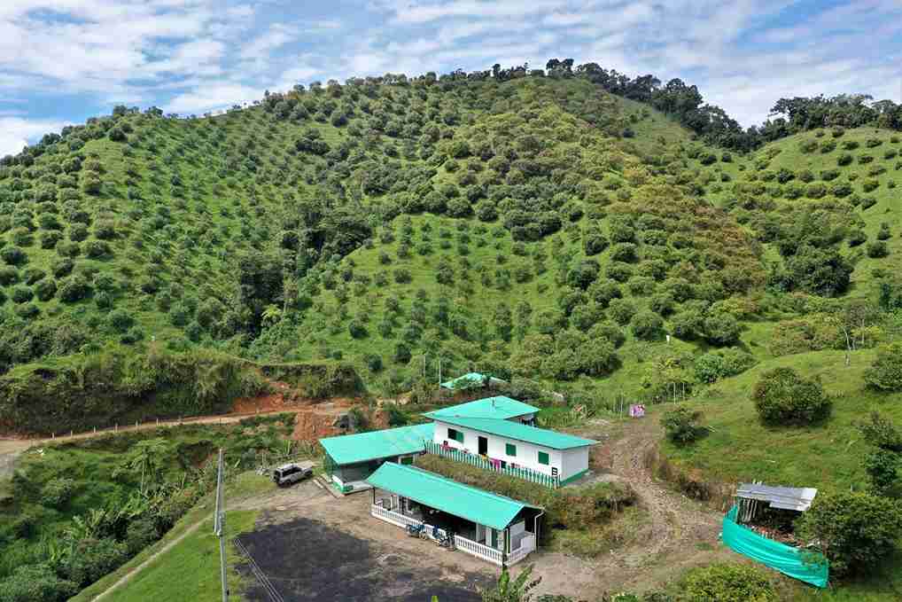 Foto de Finca en Venta en Vereda aguadita, Fresno - 17 - 279054270