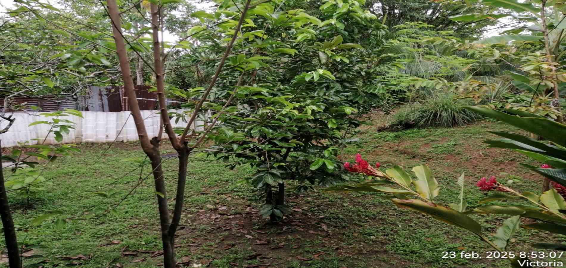 Foto de Finca en Venta en Victoria, Victoria - 14 - 279061622