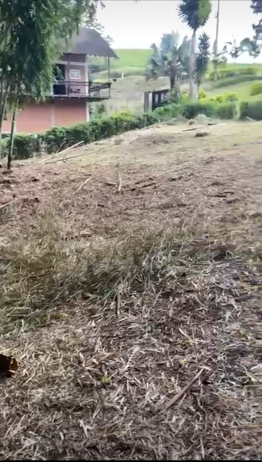 Foto de Lote / terreno en Venta en Via armenia, Pereira - 2 - 279066595