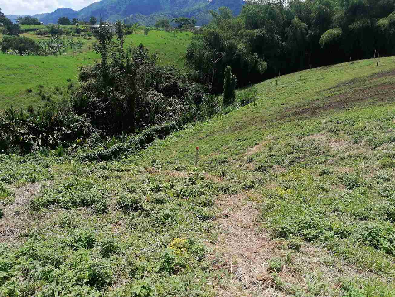 Foto de Lote / terreno en Venta en Combia, Pereira - 1 - 279058096
