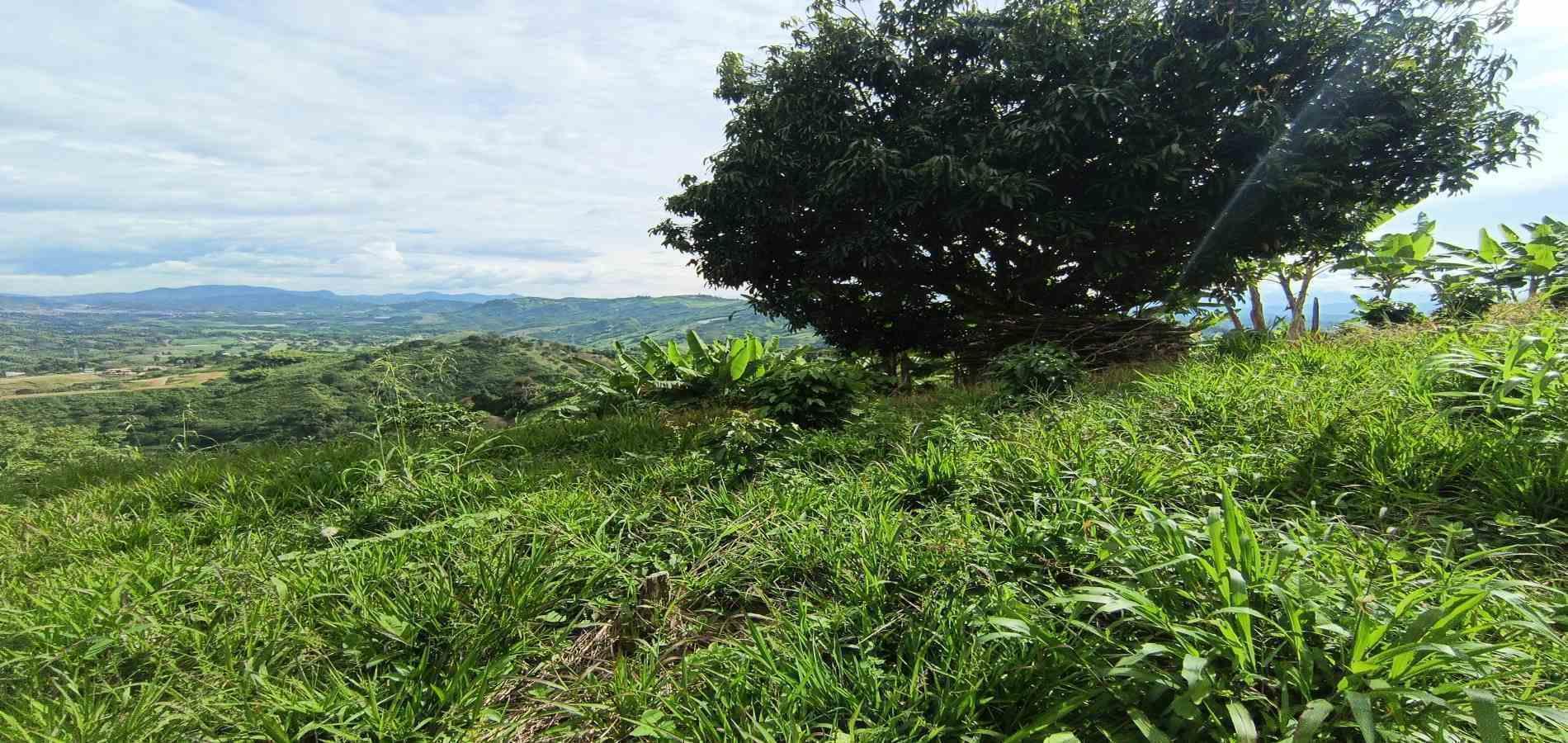 Foto de Lote / terreno en Venta en San peregrino, Manizales - 2 - 279068552