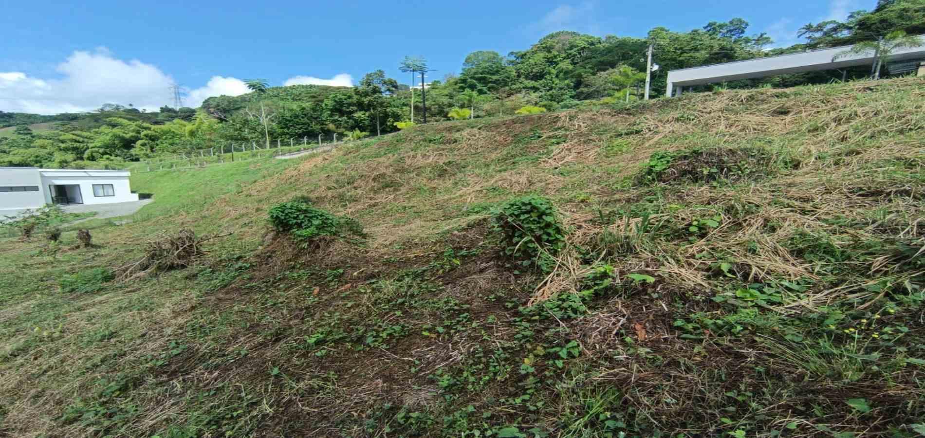Foto de Lote / terreno en Venta en Autopista del café, Manizales - 17 - 279064930