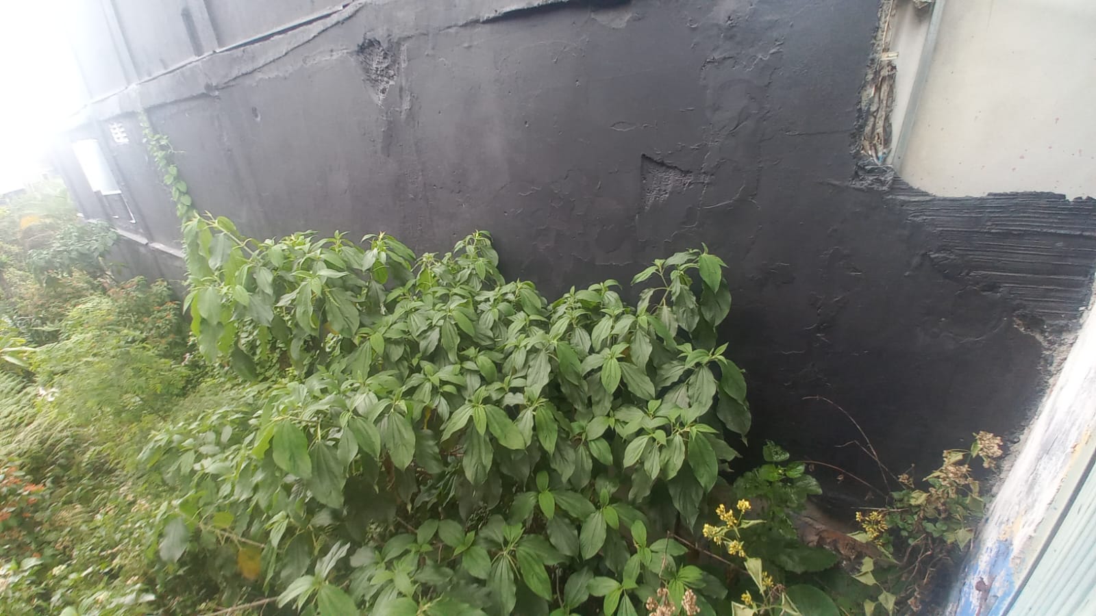 Foto de Lote / terreno en Venta en Fundadores, Armenia  - 5 - 279056606