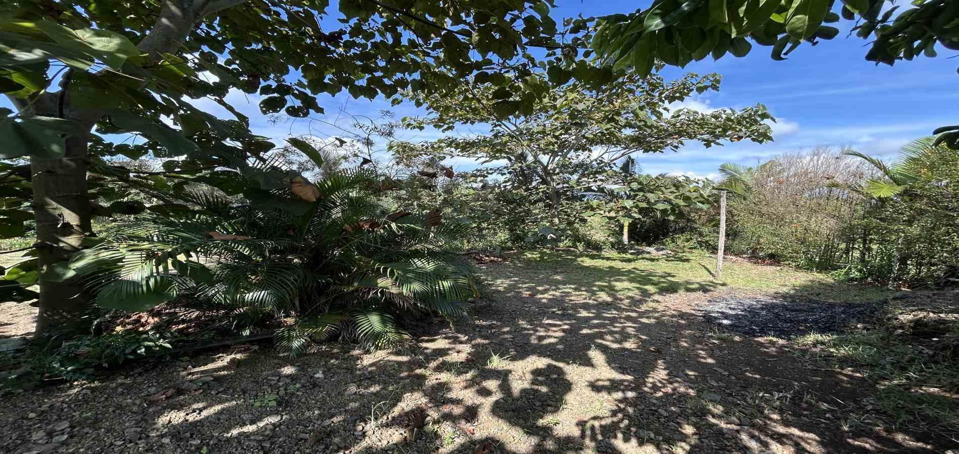 Foto de Lote / terreno en Venta en Cerritos, Pereira - 3 - 279068246