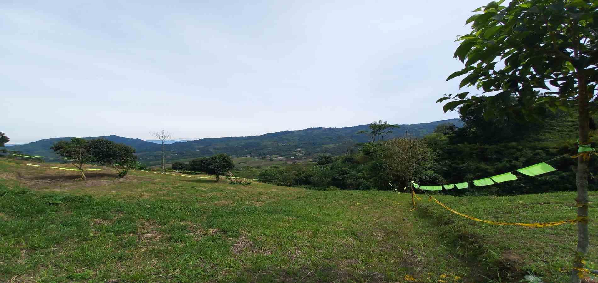 Foto de Lote / terreno en Venta en Combia, Pereira - 2 - 279069589