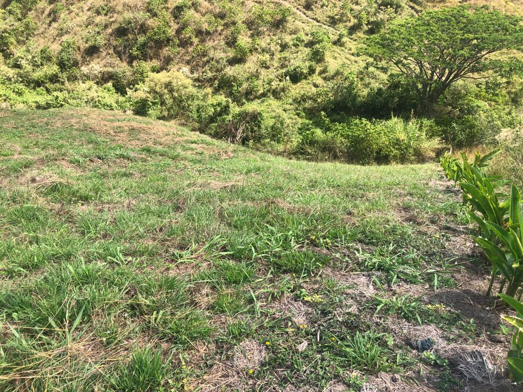 Foto de Lote / terreno en Venta en Cerritos, Pereira - 15 - 279055622