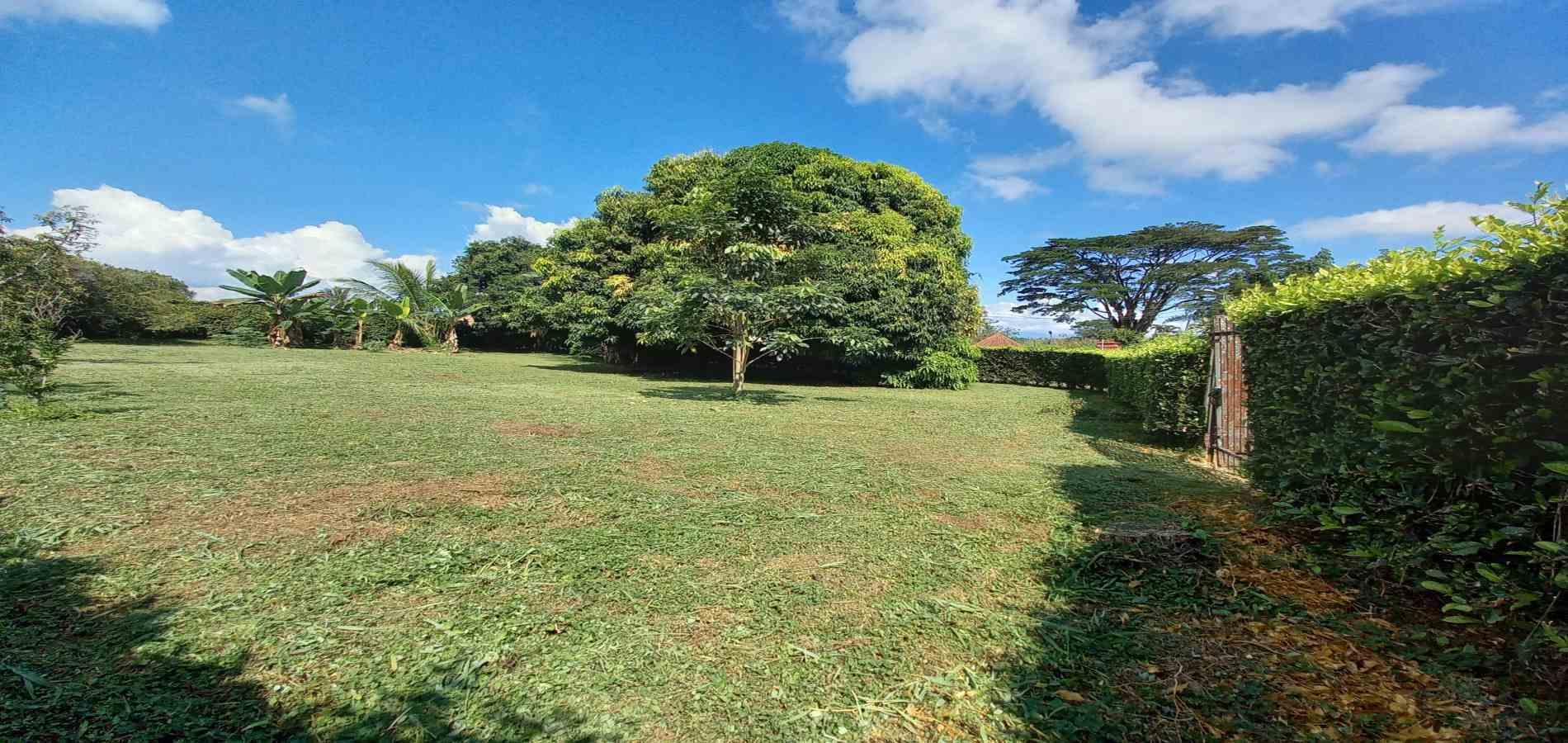 Foto de Lote / terreno en Venta en Vereda santagueda, Palestina - 28 - 279060420
