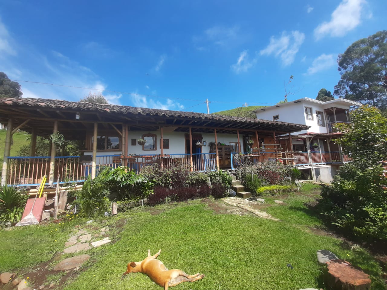 Foto de Finca en Venta en Alto castillo, Villamaria - 3 - 279061533