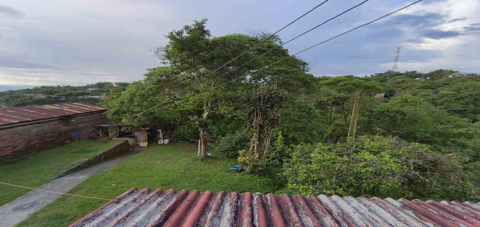 Foto de Finca en Venta en Cuchilla de los santa, Manizales - 12 - 279064273