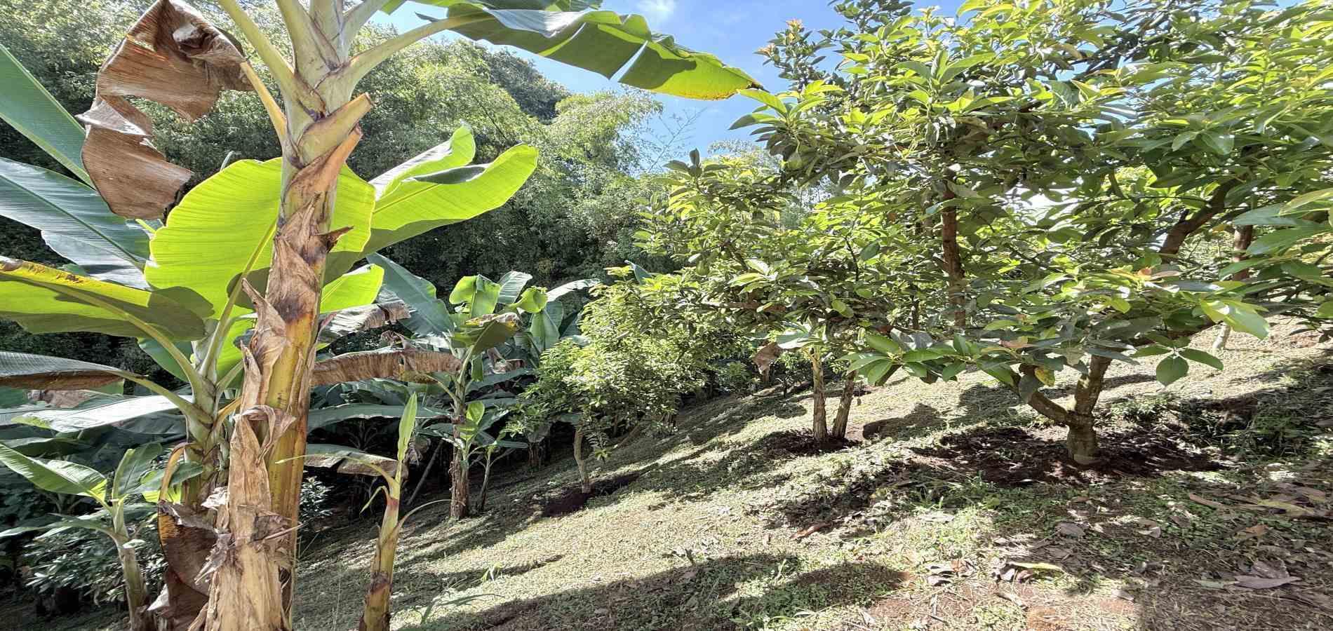 Foto de Casa campestre en Venta en Combia, Pereira - 13 - 279062640