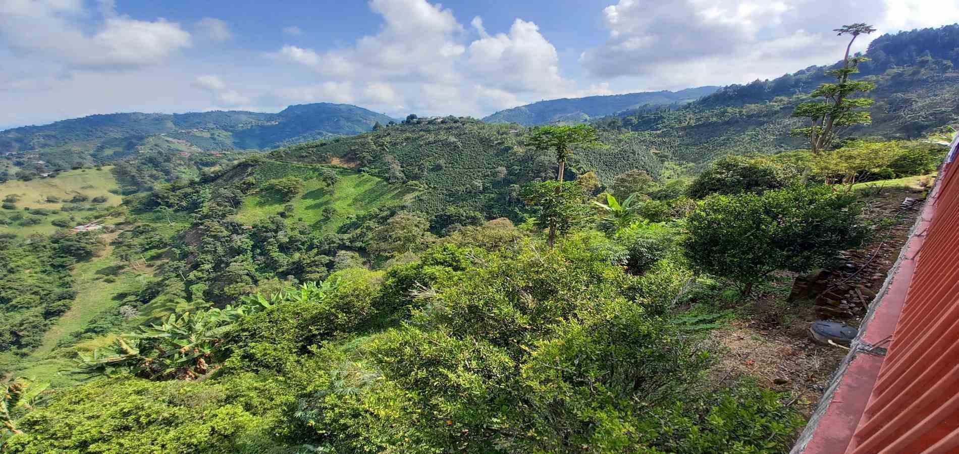 Foto de Finca en Venta en La aurora, Manizales - 29 - 279062192