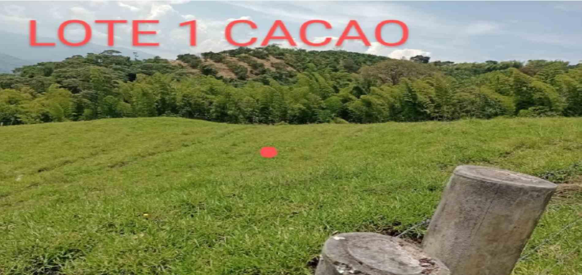 Foto de Lote / terreno en Venta en Vereda armenia , Neira - 26 - 279026013
