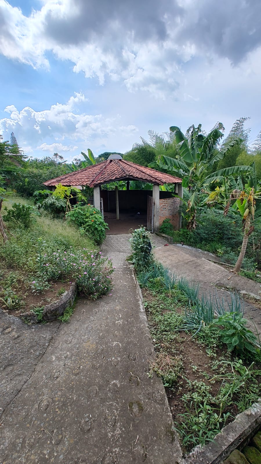 Foto de Finca en Venta en Via alcala, Armenia  - 7 - 279059945