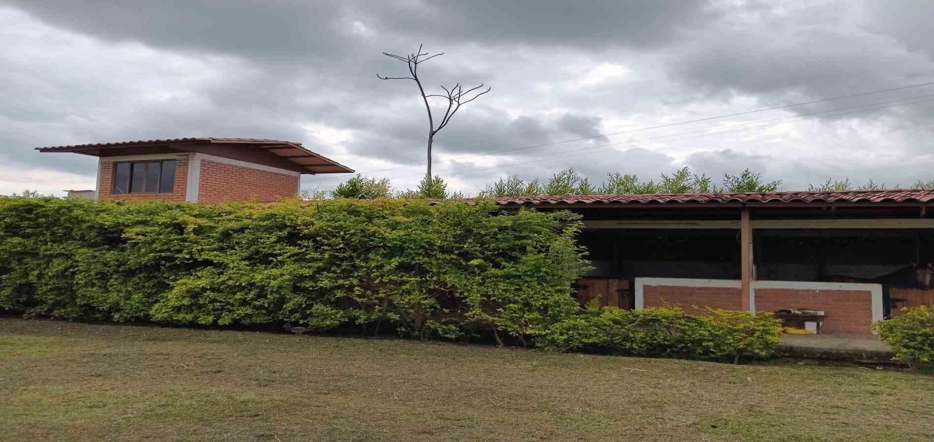Foto de Finca en Venta en A dos cuadras del parque, Circasia - 9 - 279056832