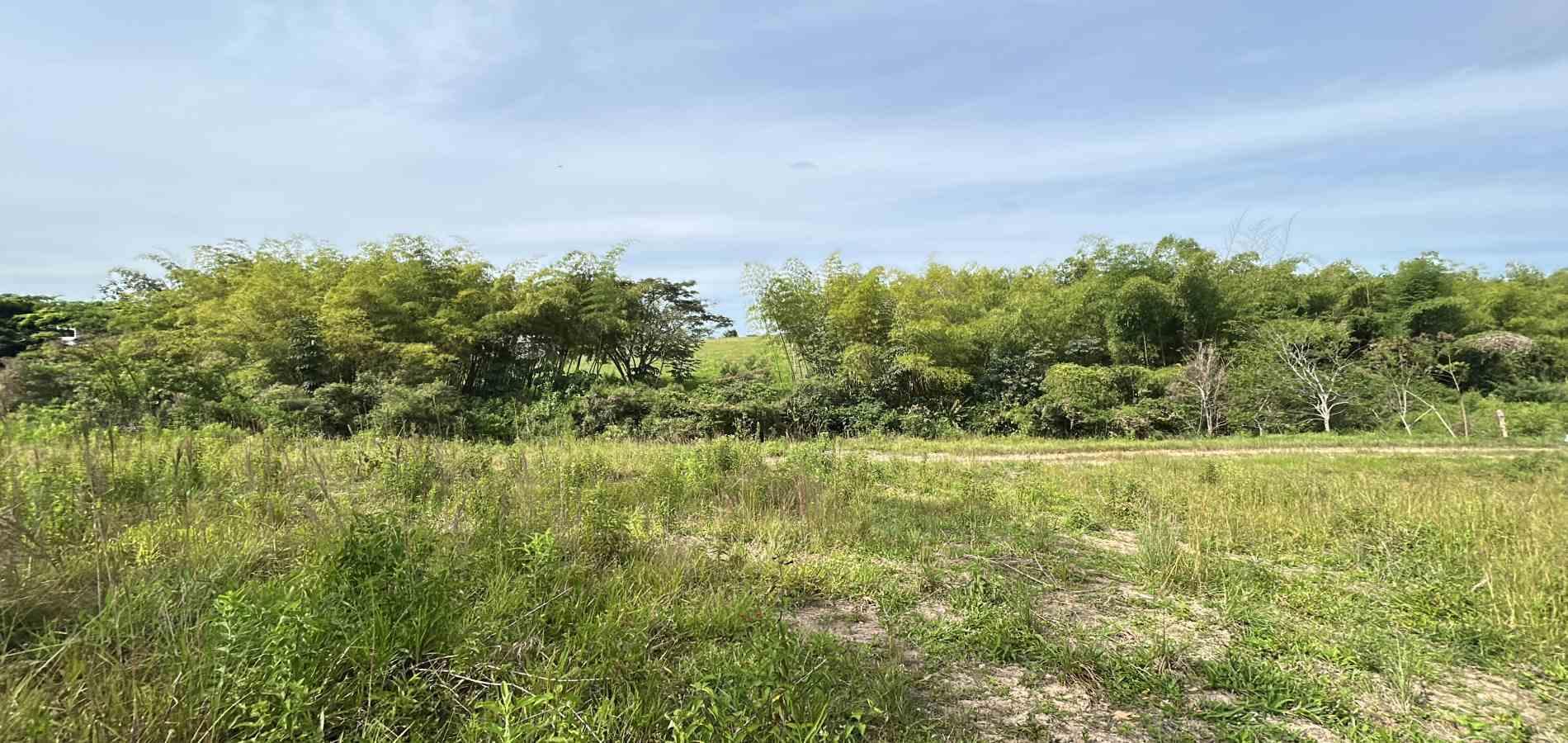 Foto de Lote / terreno en Venta en Cerritos, Pereira - 11 - 279068066