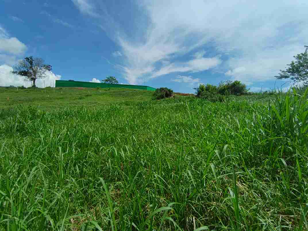 Foto de Lote / terreno en Venta en Vereda santagueda, Palestina - 10 - 279064397