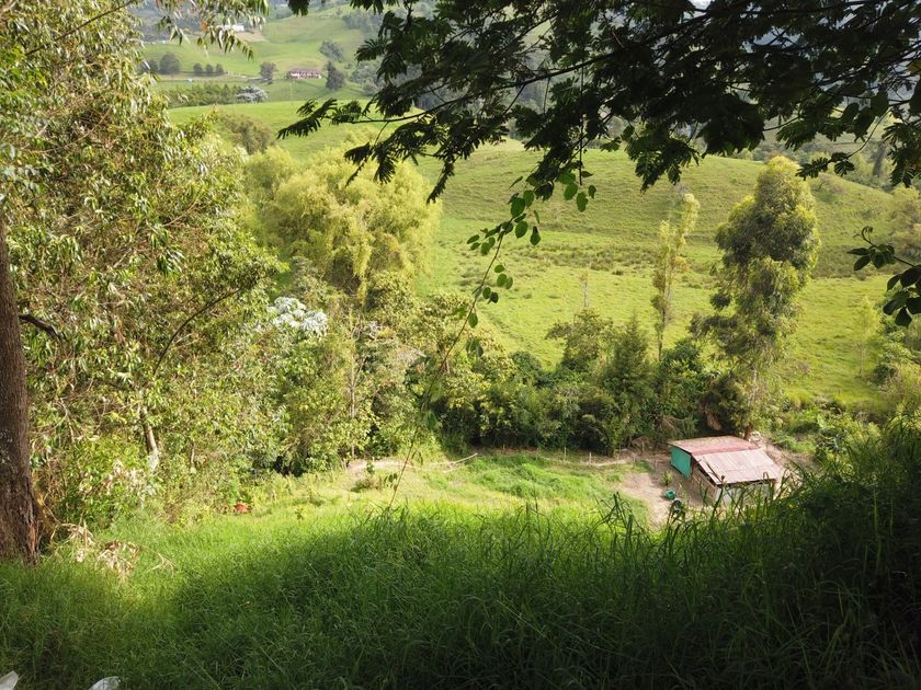 Foto de Lote / terreno en Venta en VillamarÍa, Villamaria - 11 - 279056144