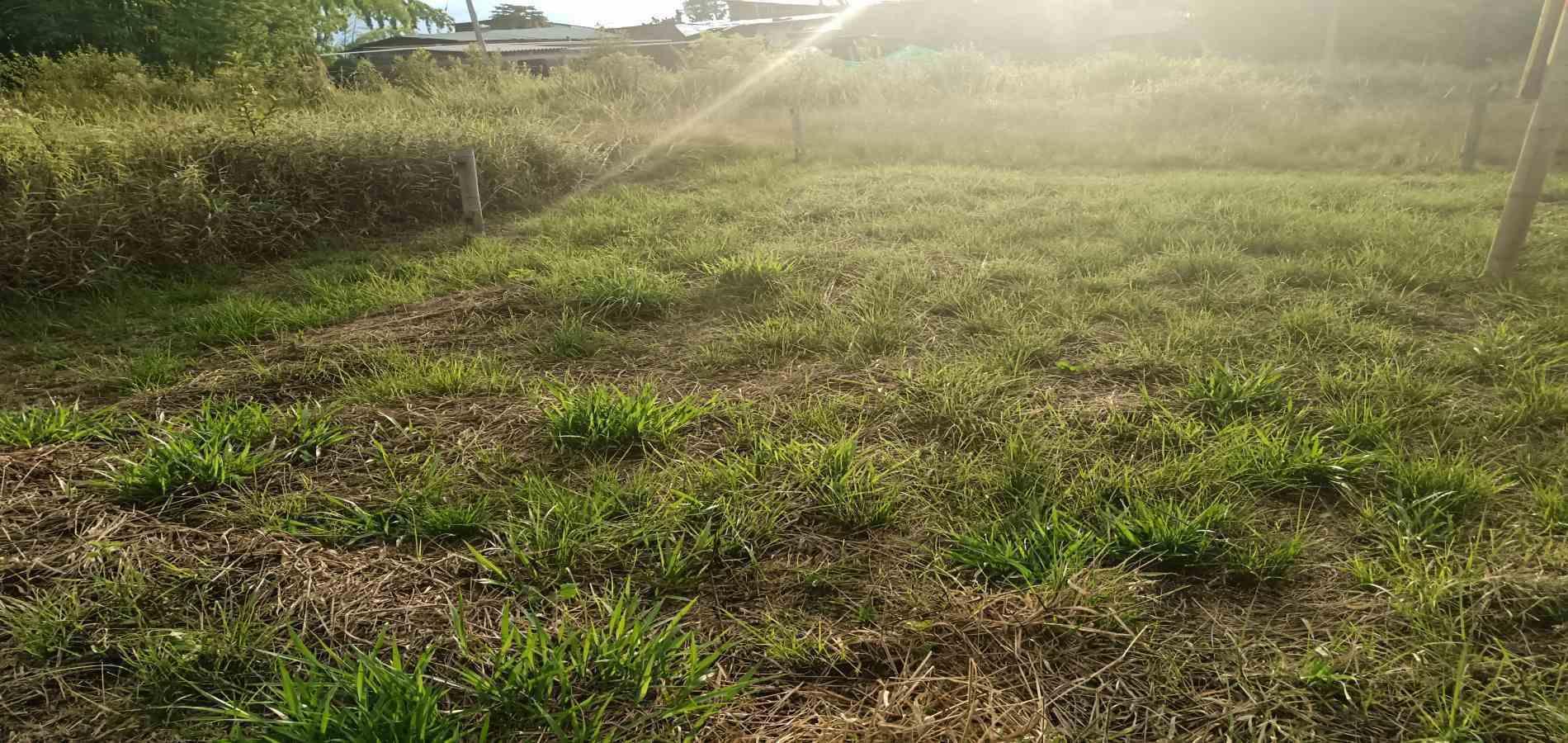 Foto de Lote / terreno en Venta en UrbanizaciÓn santana, Armenia  - 13 - 279059323