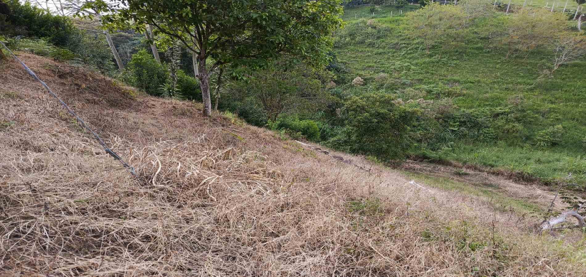 Foto de Lote / terreno en Venta en Via alcala, Pereira - 9 - 279061897