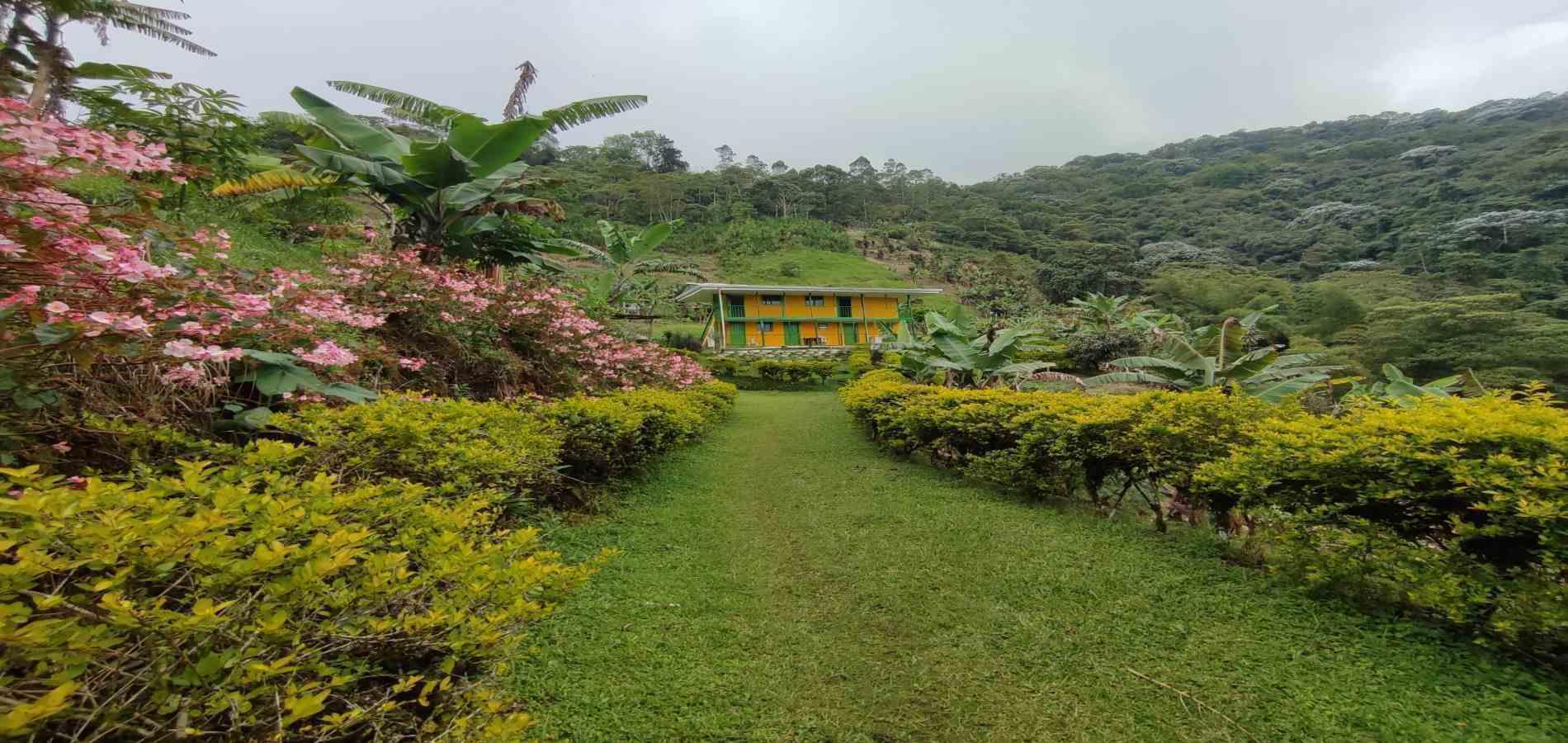 Foto de Finca en Venta en Vereda la independencia alto del nudo, Dosquebradas - 9 - 279065391