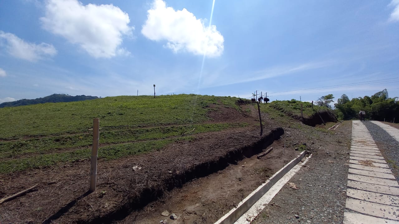 Foto de Lote / terreno en Venta en Vereda santagueda, Palestina - 23 - 279058796
